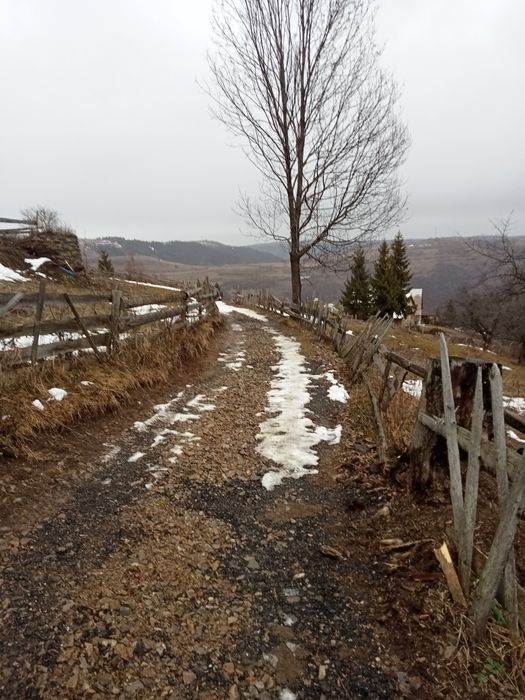 Vând(schimb) teren Mărișel