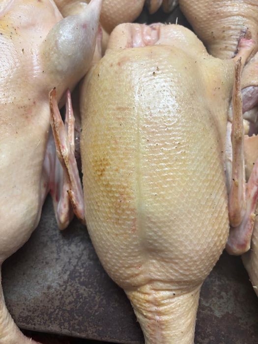 натуральное домашнее мясо утки