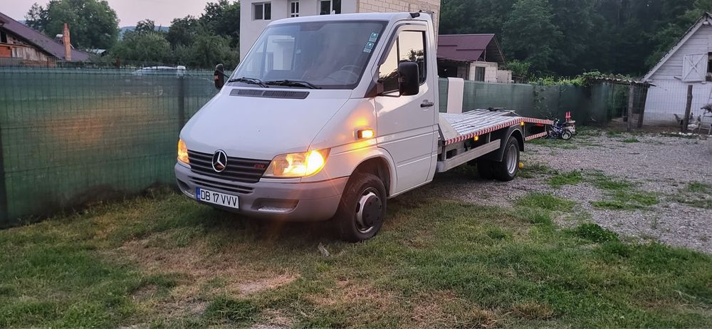 Sprinter platforma 313