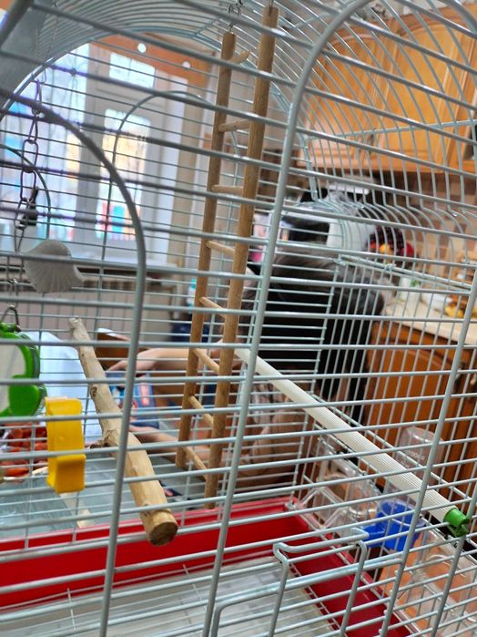 Продам клетку с аксессуарами для попугаев