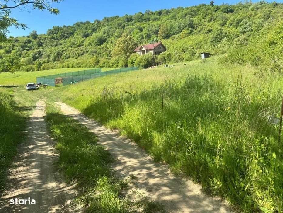 Teren de vanzare, Tauti, 2300 Mp