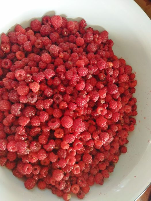 Продаю домашнюю малину