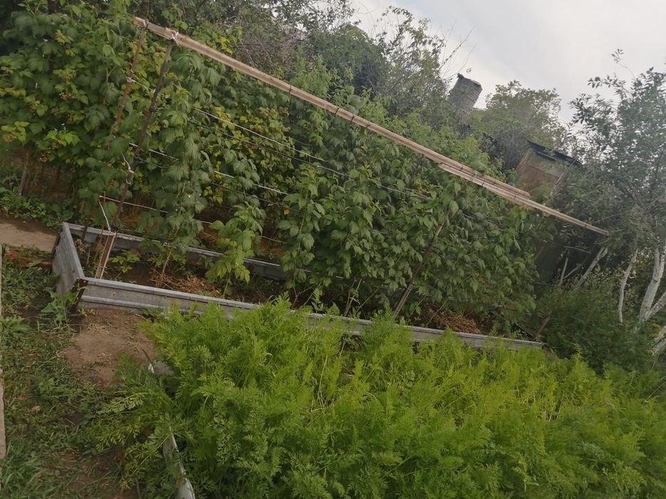 Продам дачу СК "Спартак"