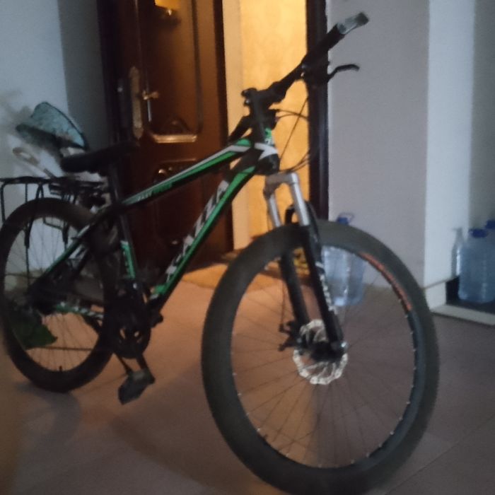 Велик скарастной