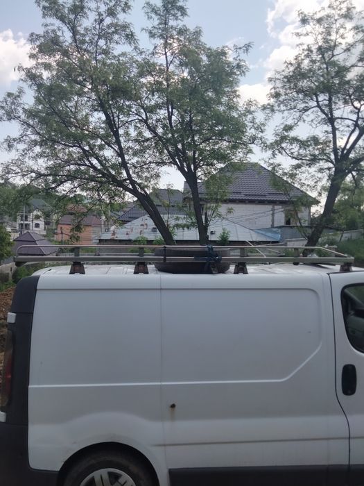 Portbagaj Renault trafic/Opel vivaro/universal