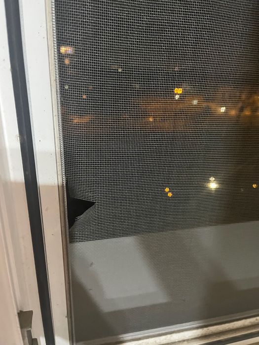 Plasa de țânțari penetrata cu glocu