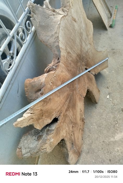 Шайба от корен от орех