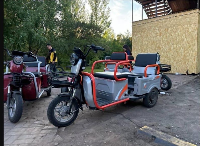 Электрические рикши