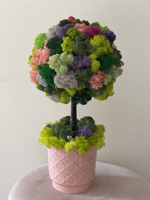 Trandafir criogenat cluj