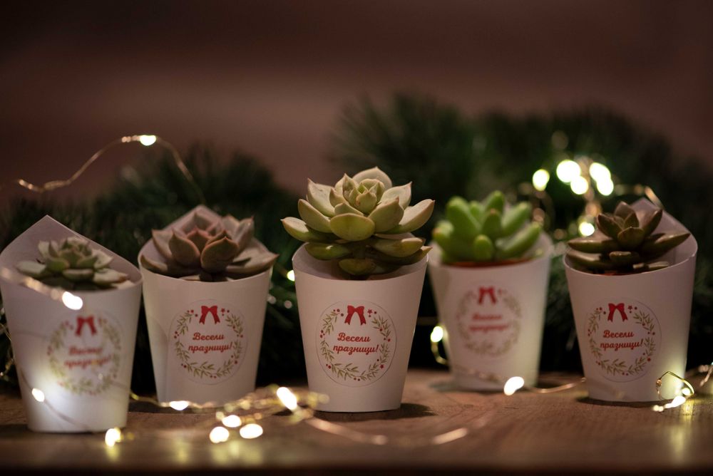 живи подаръчета за събития