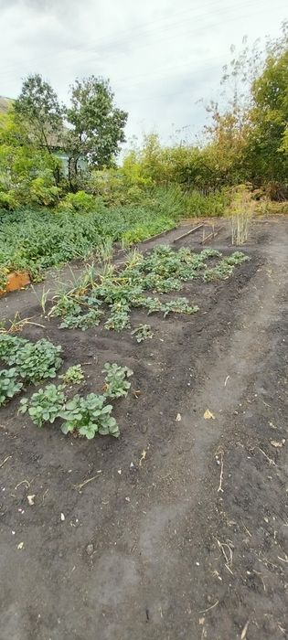 Продам дом с. Боровское