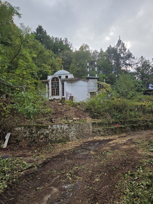 Рязане и кастрене на опасни дървета