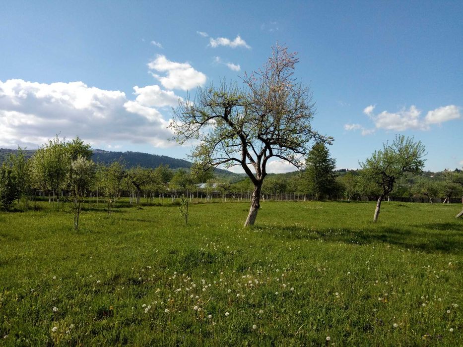 Teren intravilan la munte, in Nereju, Vrancea
