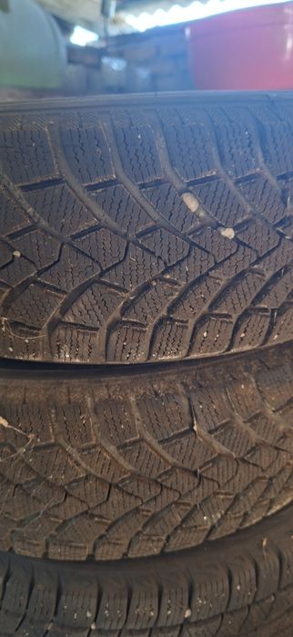 Продам зимние шины на 14