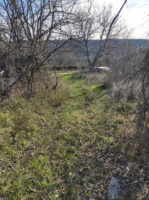 Земеделски имот Шереметя