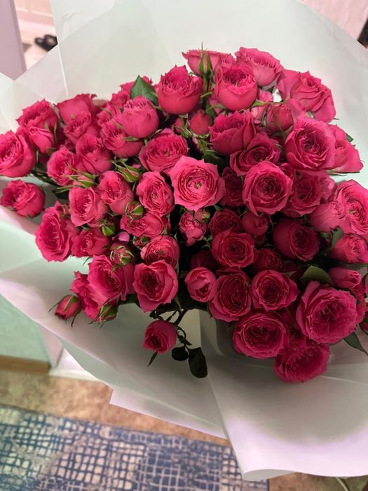 Продам цветыы  по выгодн цену