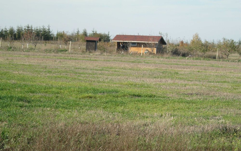 Продава се Парцел в с. Кичево, Област Варна - 5800 кв.м за 7 €/кв.м - Снимка #3