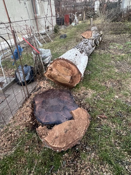 Vand nuc de 60 de ani