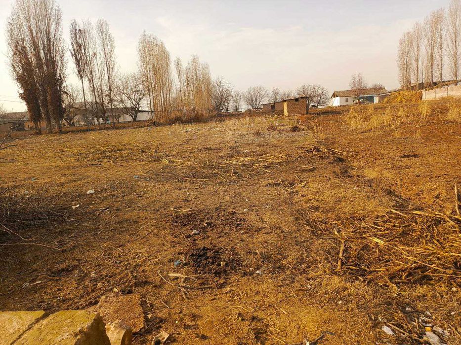 Янгийўл тумани Шўралисой махаласида 16 соток уй сотилади