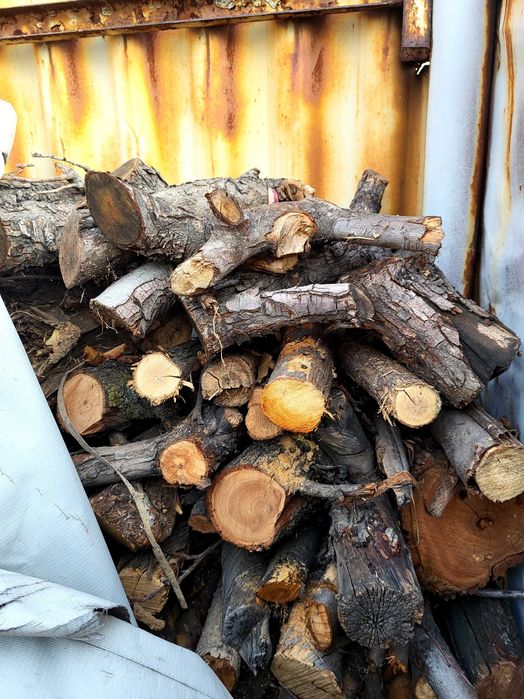 Дрова сухие,дрова колотые карагач