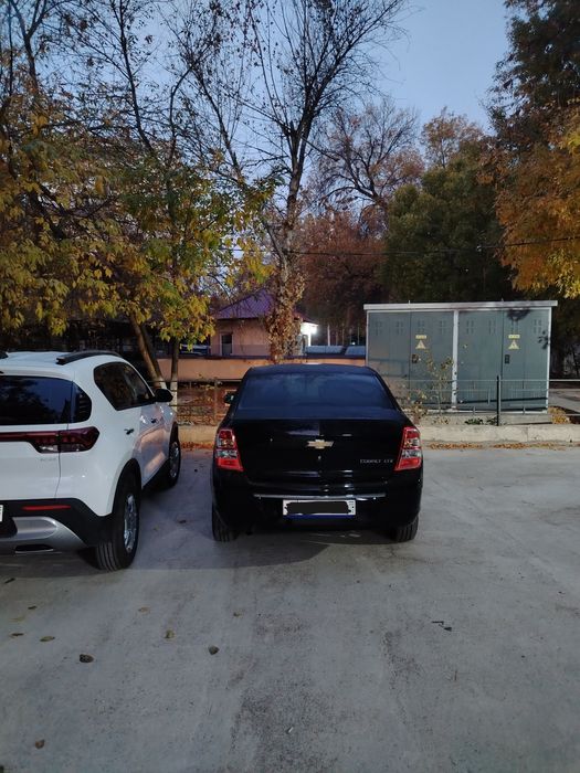 Cobolt 2024 Black ltz.