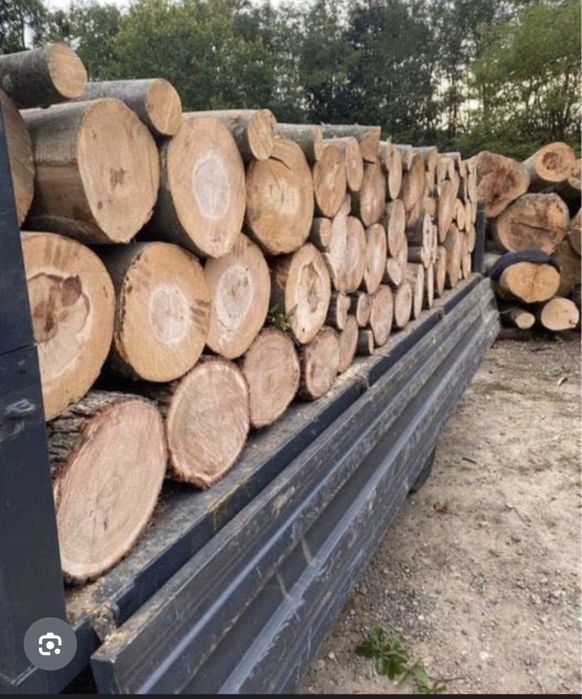 Lemne de foc esenta tare