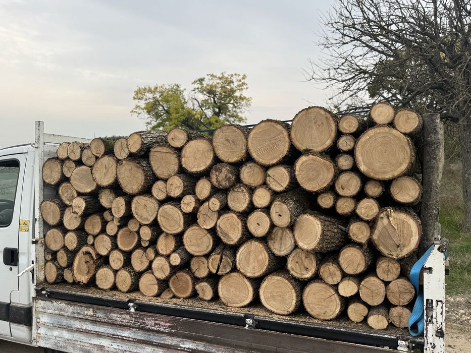 Lemne de stejar de vanzare