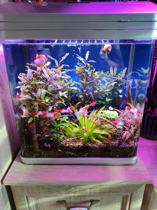 Продам Аквариум 350л.  И 36л.