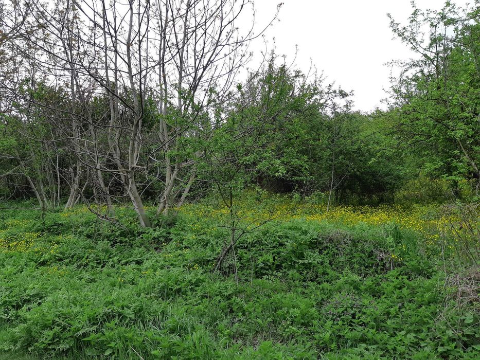 Продавам къща с парцел
с. Звезда, Търговище