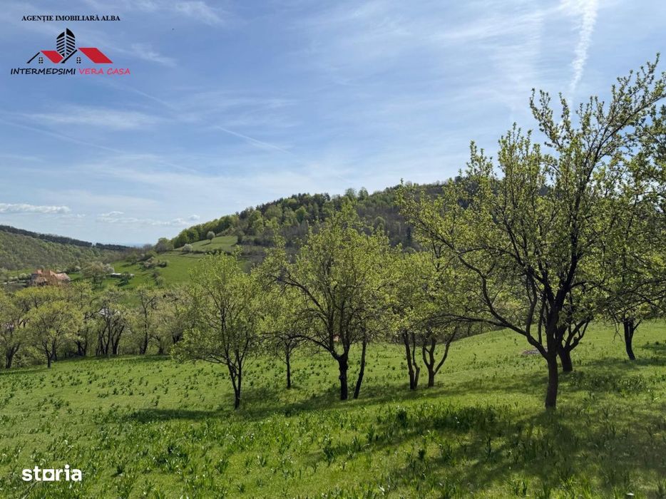 Teren intravilan 8330 mp de vanzare in Inuri Jud Alba