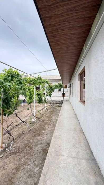 Ховли уй участка