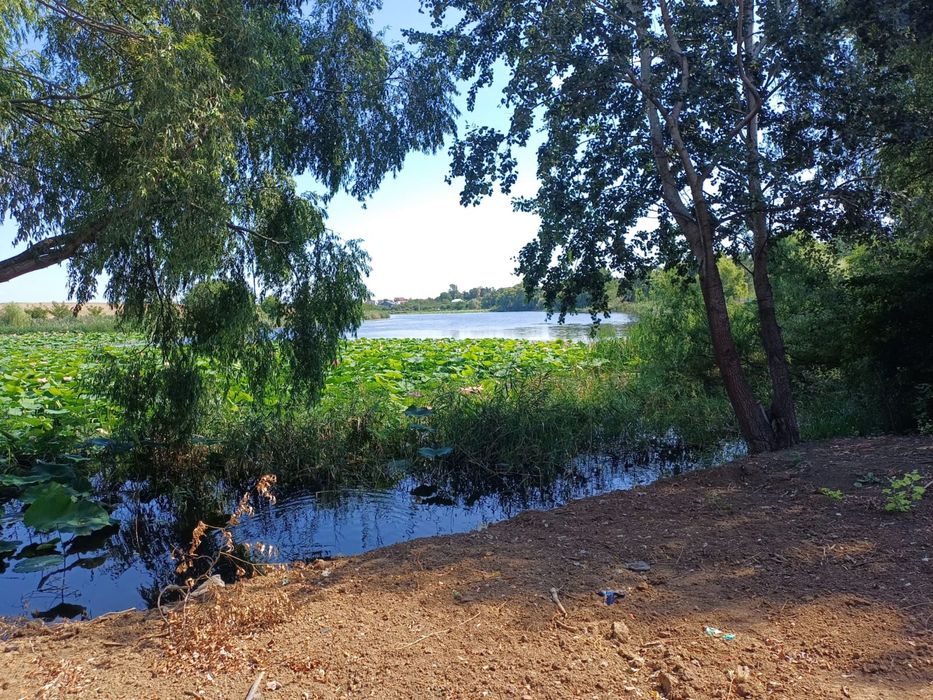 Balotesti - Teren la Lac 2700 mp