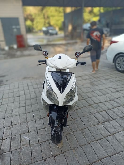 Мапед с горантя на 20 дней