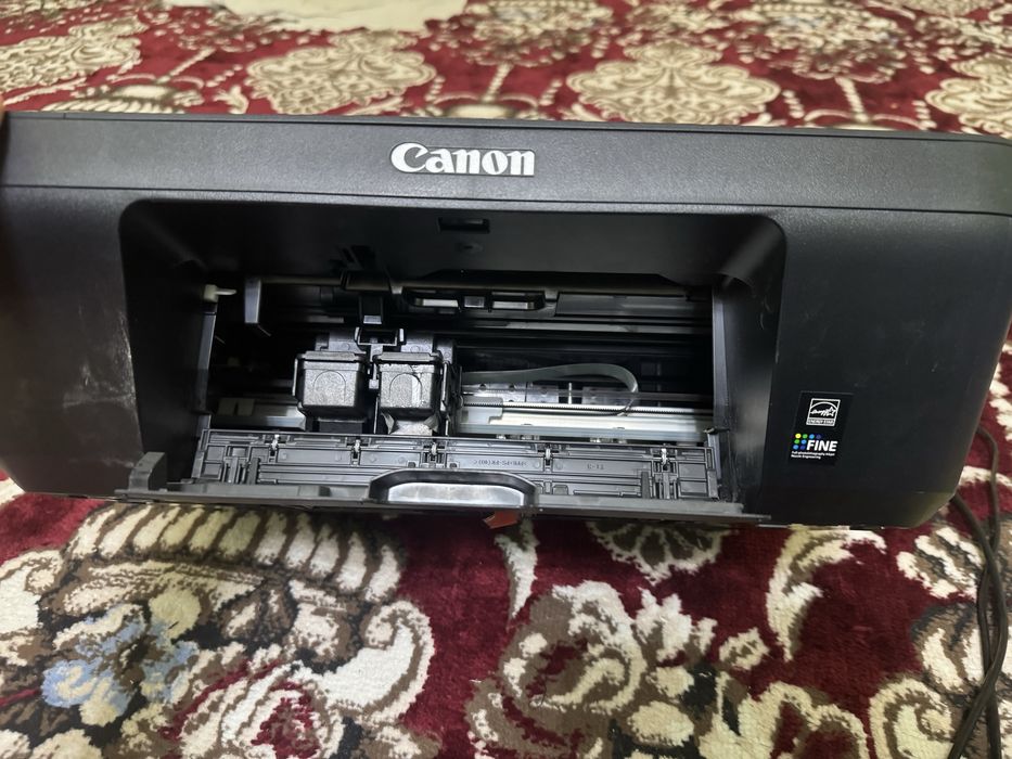 Printer Canon MG2540S