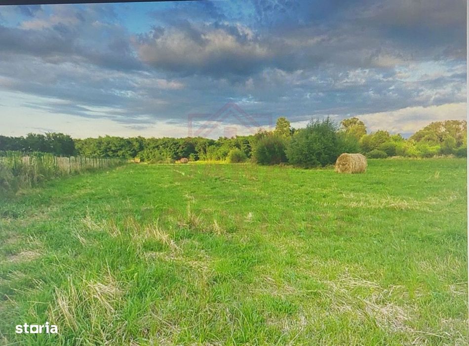 Teren Intravilan Cu Puz\ 704 Mp\Caransebeș\ Zona Teiuș