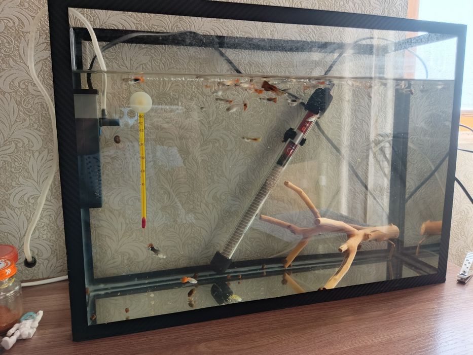 Продам аквариум, полный комплект с рыбками.