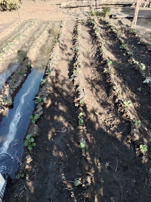 Продам дом 2 рабочий