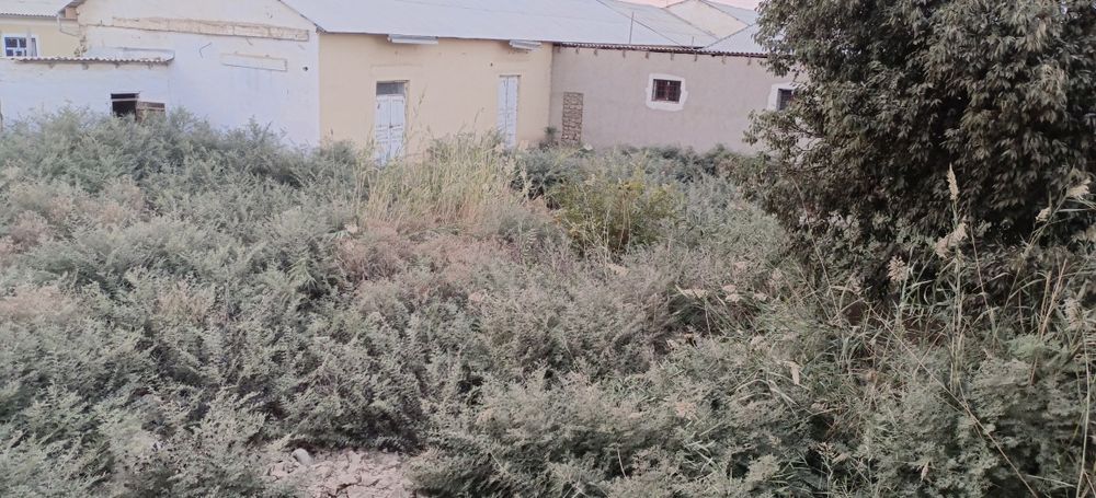 Xовли Уй сотилади Термиз шахар Шимолий дарвоза зелёный кафеси олди