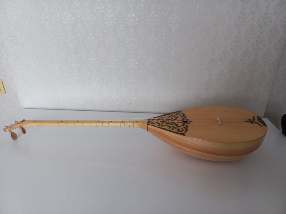 Домбыра екі шекті