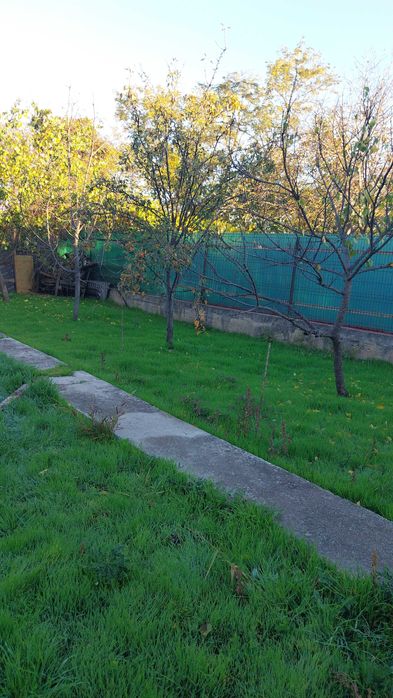 Tundem pomi grădinărit plantăm copaci etc