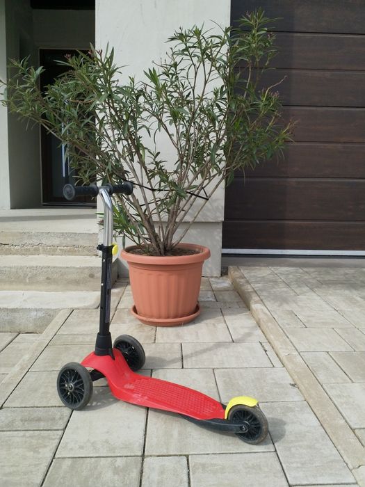 Trotinetă 3 roți