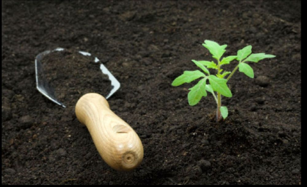 Продается Перегной. Чернозем в мешках