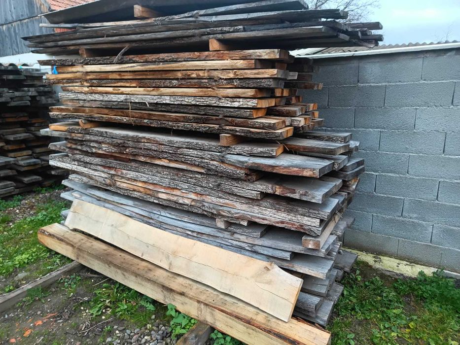 Cherestea Gorun (S, L)