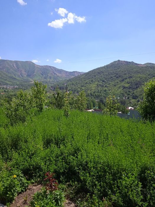 Дача в Чимгане Харошим
