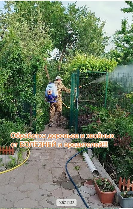 Услуги Садовника обработка осенью