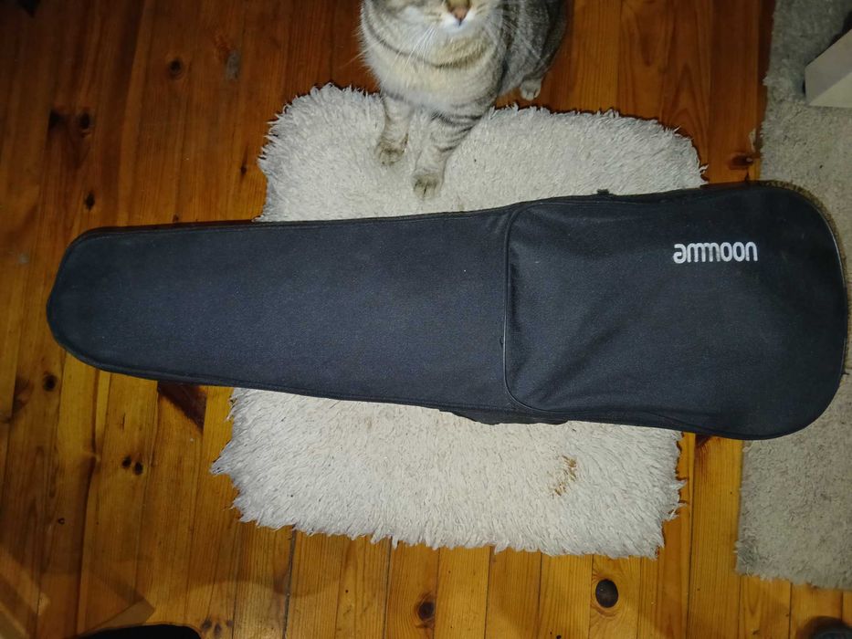 Електрическа акустична цигулка