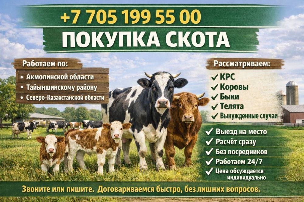 КРС Коровы Быки Телята