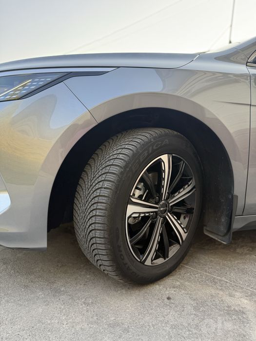 Byd chazor dm-i 120 tali 2024