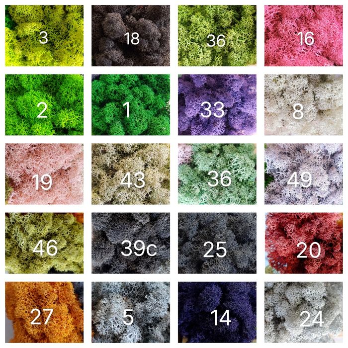 Скандинавски мъх за зелени стени, пана, декорации.