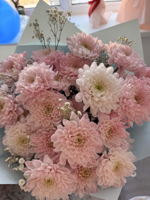 Продам цветы сегодня купленные